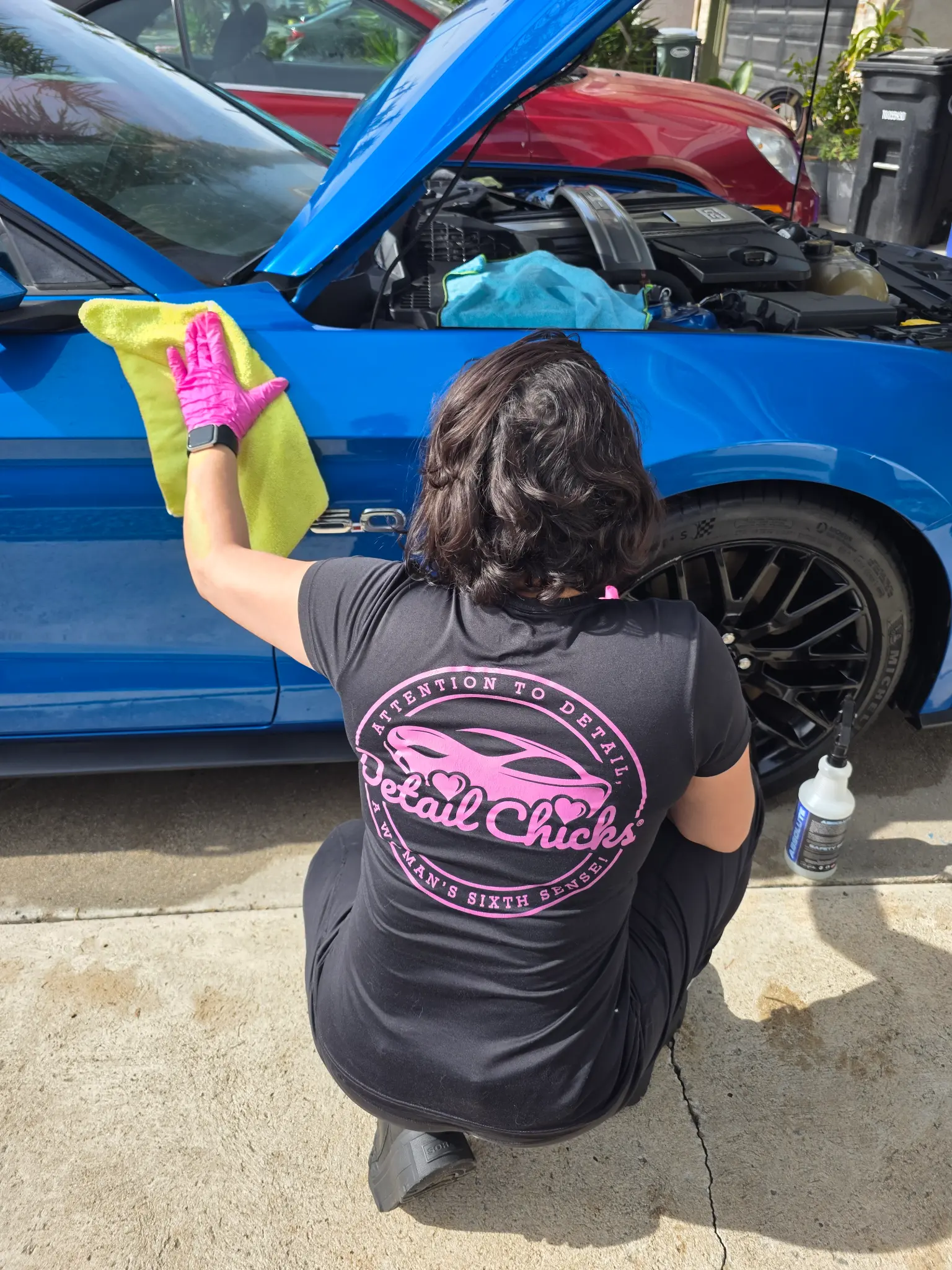 Professional hand wash detailing